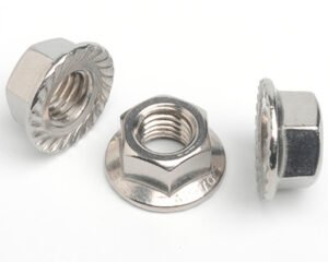 Stainless Steel Flange Hex Nut Manufacturer In India, Ahmedabad, Gujarat