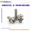 Stainless Steel Ss Pan Head Sems Screw